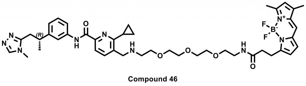 Cblb probe structure